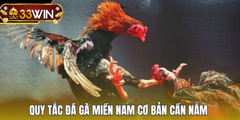 Luật đá gà miền nam 33WIN mới nhất 2025